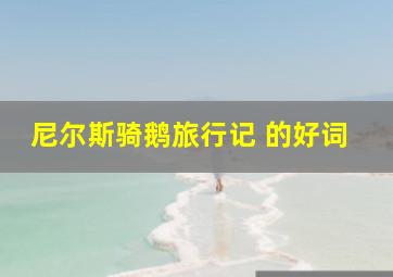 尼尔斯骑鹅旅行记 的好词